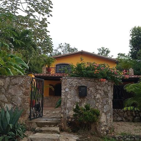 Casa Mango Bed and Breakfast Τουλούμ Εξωτερικό φωτογραφία