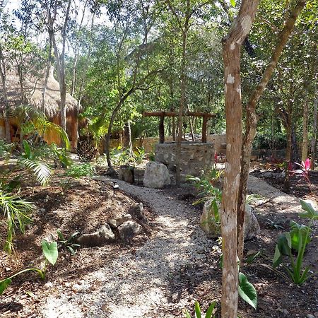 Casa Mango Bed and Breakfast Τουλούμ Εξωτερικό φωτογραφία