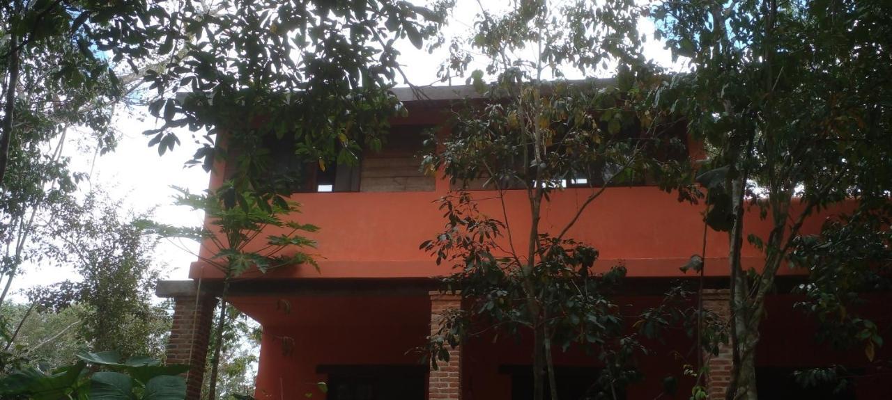 Casa Mango Bed and Breakfast Τουλούμ Εξωτερικό φωτογραφία
