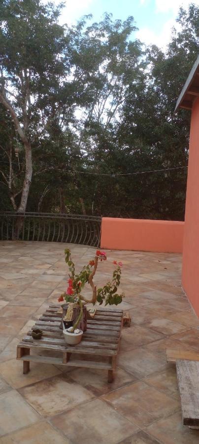 Casa Mango Bed and Breakfast Τουλούμ Εξωτερικό φωτογραφία