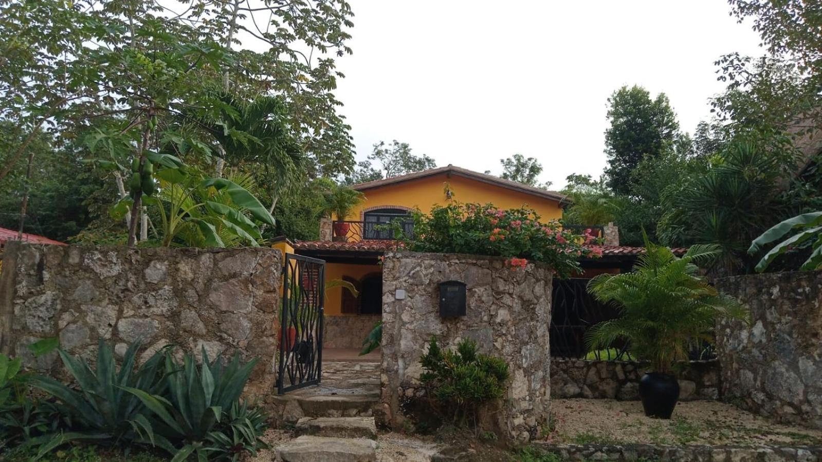 Casa Mango Bed and Breakfast Τουλούμ Εξωτερικό φωτογραφία