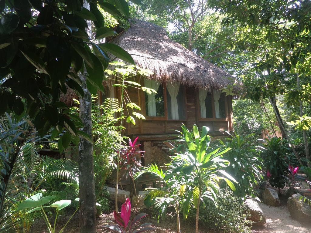 Casa Mango Bed and Breakfast Τουλούμ Δωμάτιο φωτογραφία