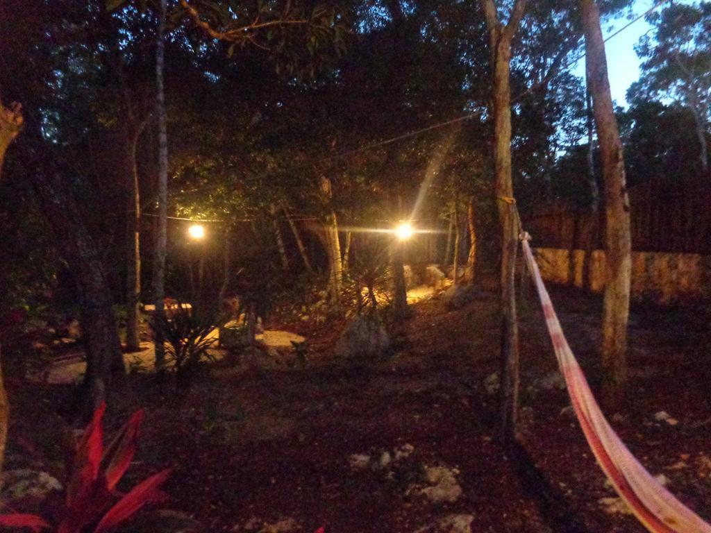 Casa Mango Bed and Breakfast Τουλούμ Εξωτερικό φωτογραφία