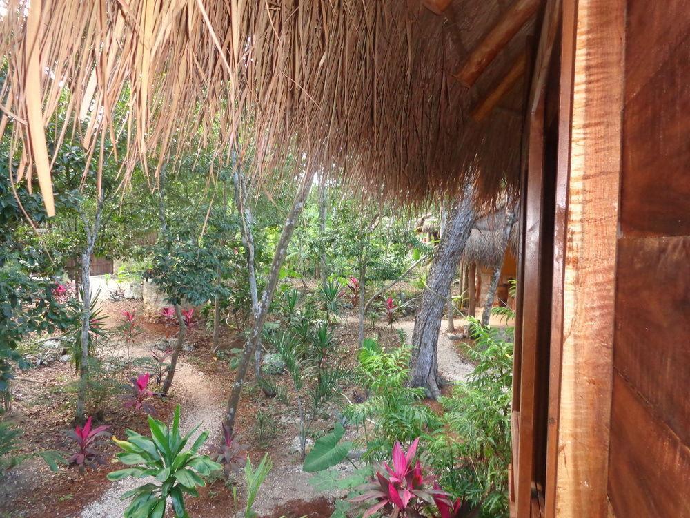 Casa Mango Bed and Breakfast Τουλούμ Εξωτερικό φωτογραφία