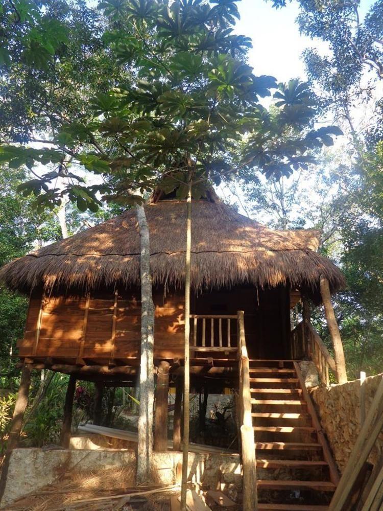 Casa Mango Bed and Breakfast Τουλούμ Εξωτερικό φωτογραφία