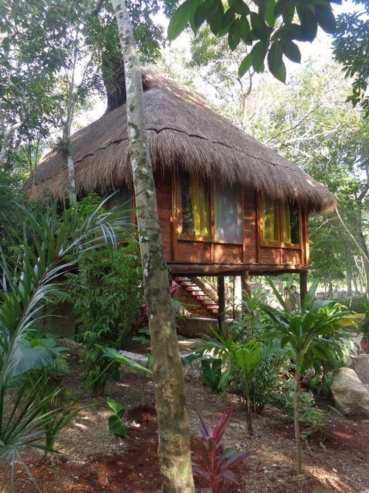 Casa Mango Bed and Breakfast Τουλούμ Εξωτερικό φωτογραφία
