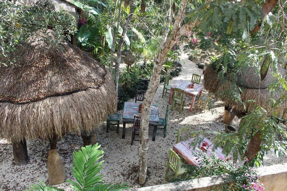 Casa Mango Bed and Breakfast Τουλούμ Εξωτερικό φωτογραφία