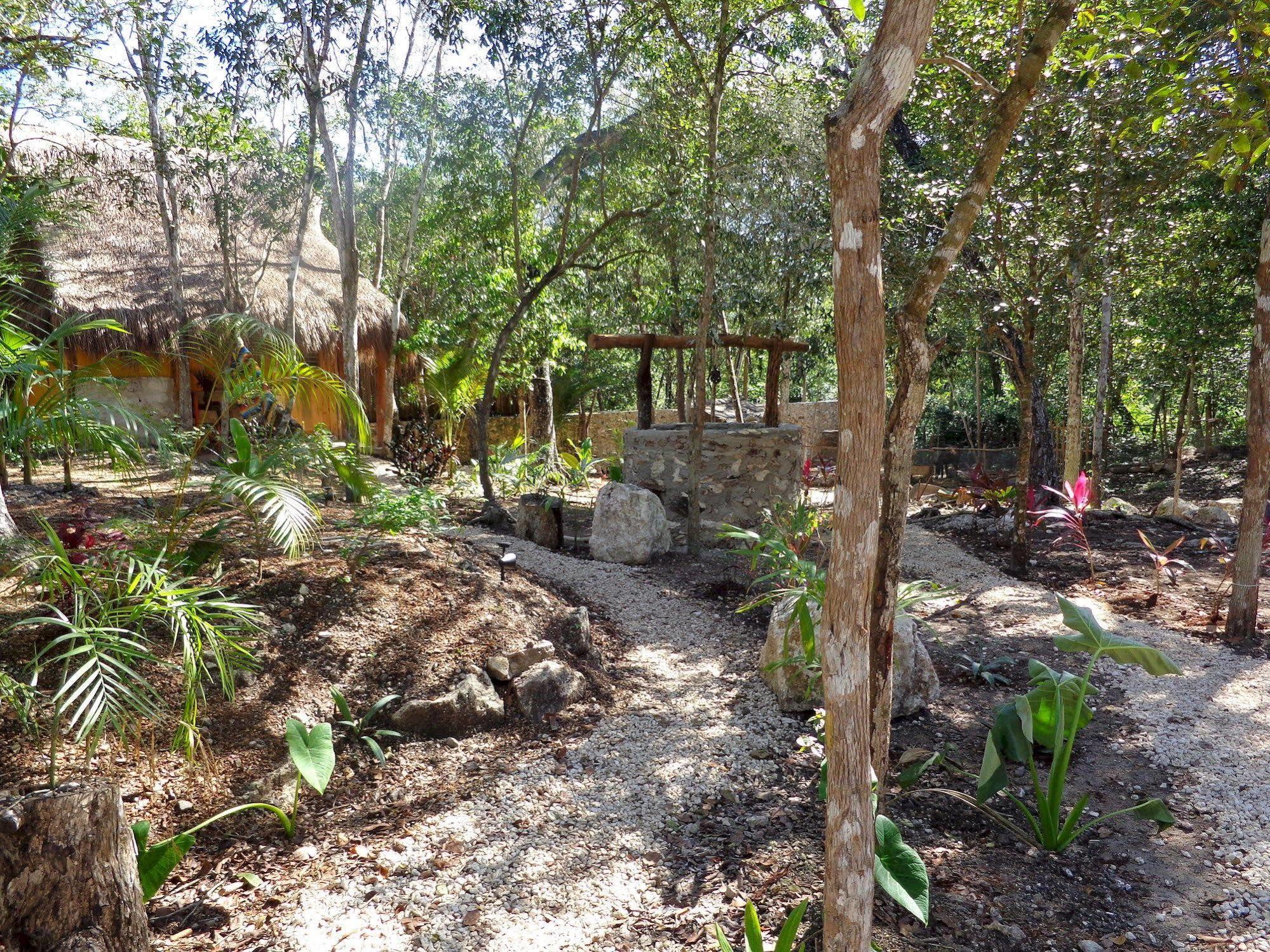 Casa Mango Bed and Breakfast Τουλούμ Εξωτερικό φωτογραφία