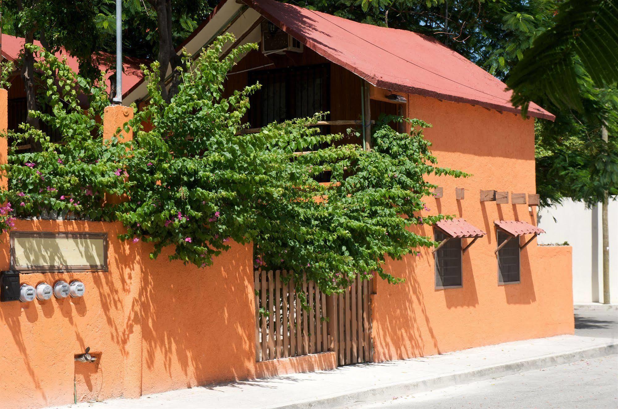 Casa Mango Bed and Breakfast Τουλούμ Εξωτερικό φωτογραφία